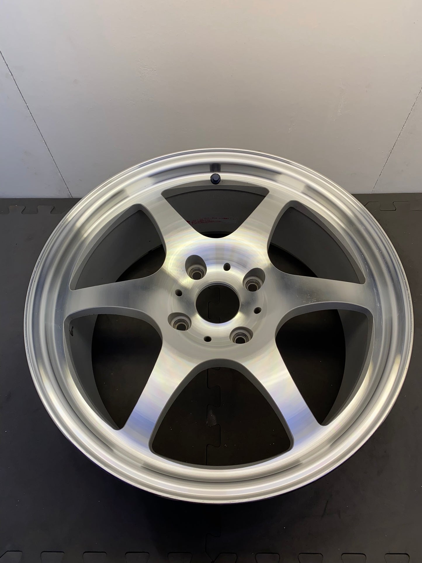 TWS/Taneisya Joustmeister