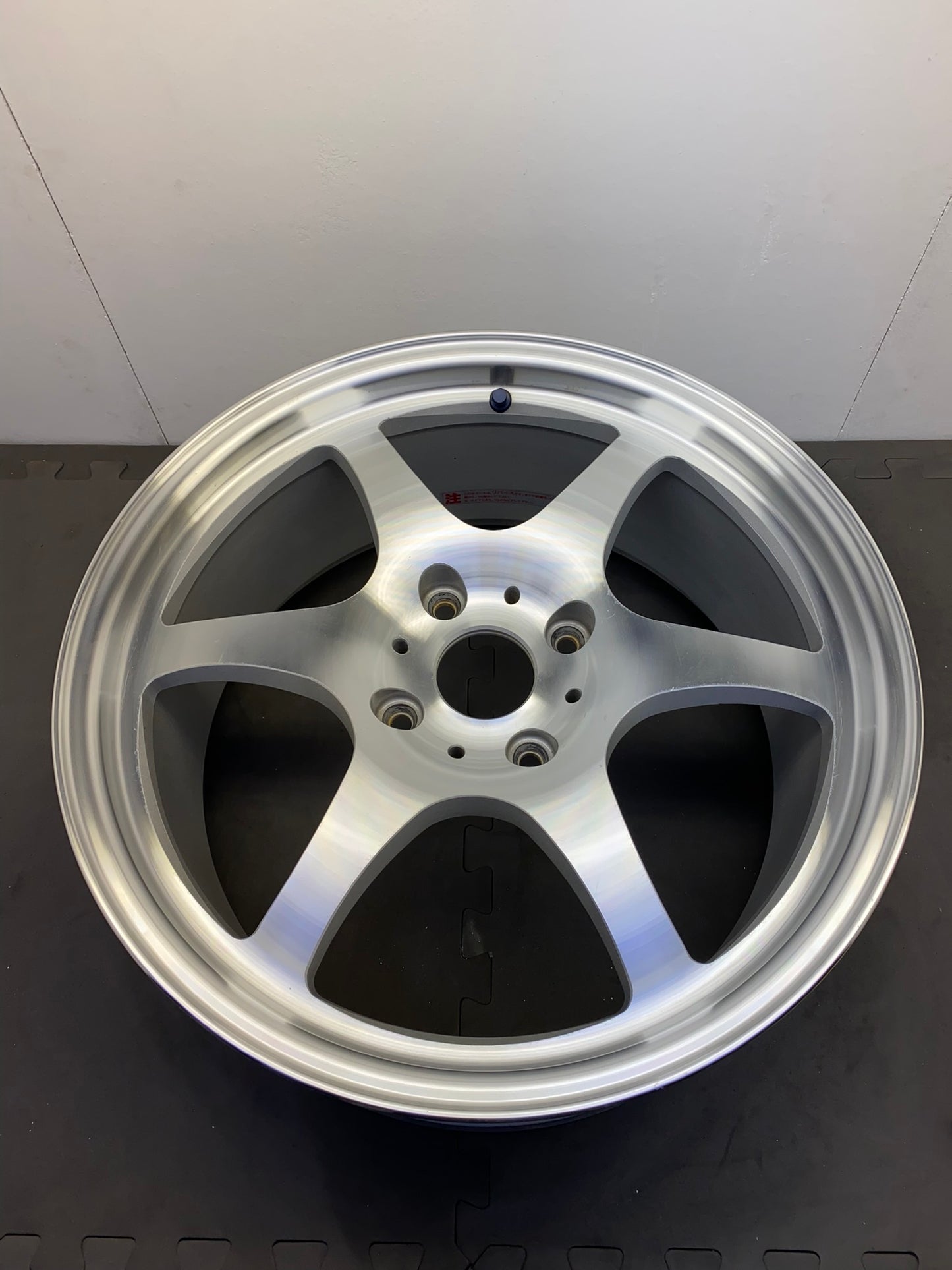 TWS/Taneisya Joustmeister