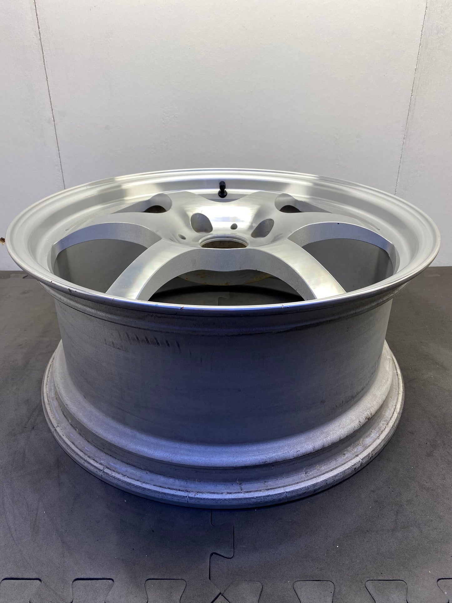 TWS/Taneisya Joustmeister