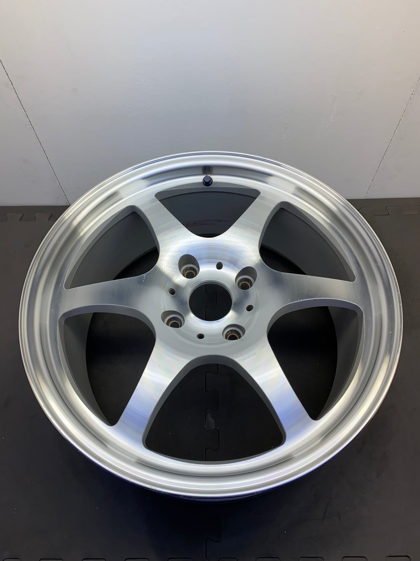 TWS/Taneisya Joustmeister